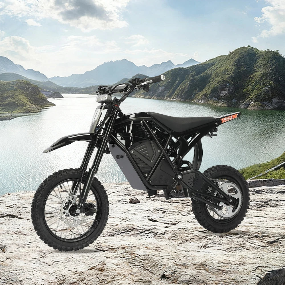 US 3-7 Delivery Electric Dirt Bike 48V Lithium Battery Full Suspension Electric Mountain Bike