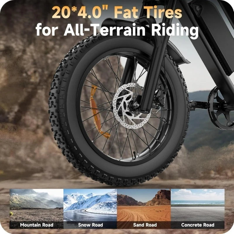 Electric Dirt Bike for Adults 20x4 Inch Fat Tire 750W Motor 28MPH 48V15.6AH Detachable Battery 7 Speed UL 2849 Certified