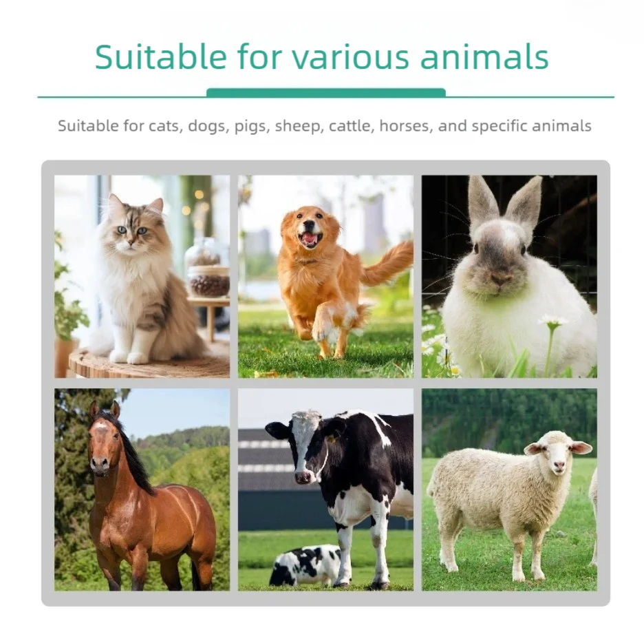 Handheld Pulse Oximeter Monitor for Pulse Rate and Oxygen Saturation Veterinary Medical SPO2 and PR, pet clinic equipment